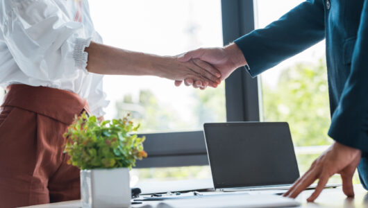 selective focus of employee and recruiter shaking hands near green plant